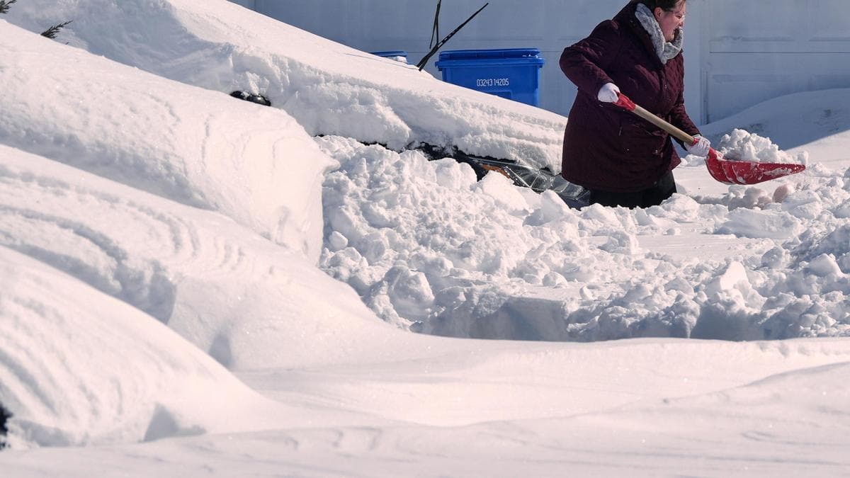 Northeast US Storm Response: Accessibility Gaps Exposed