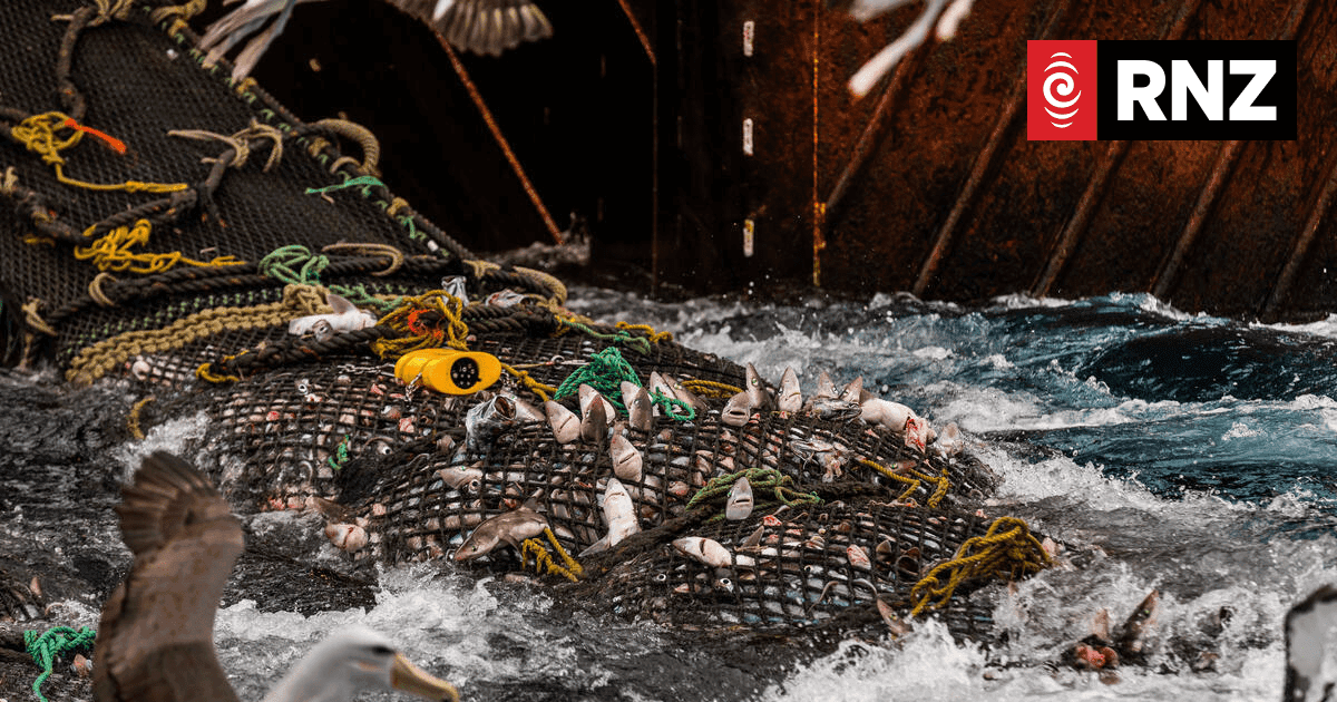NZ's Bottom Trawling Debate: Economic Interests vs Marine Conservation