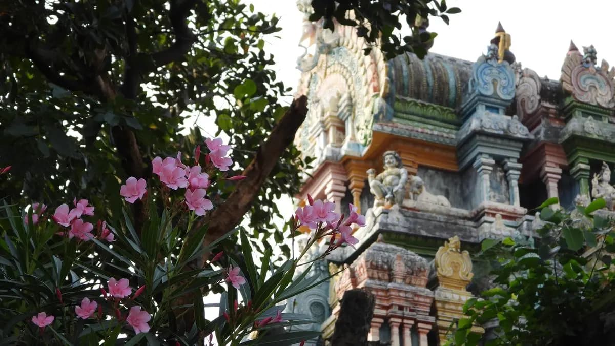 Sacred Gardens: Tamil Nadu's Model for Green Heritage Revival