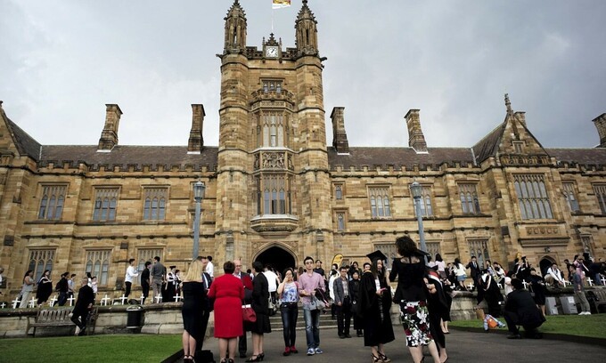 Australia Holds Student Cap at 295,000 Despite Visa Slowdown: A Data-Driven Look at the Policy